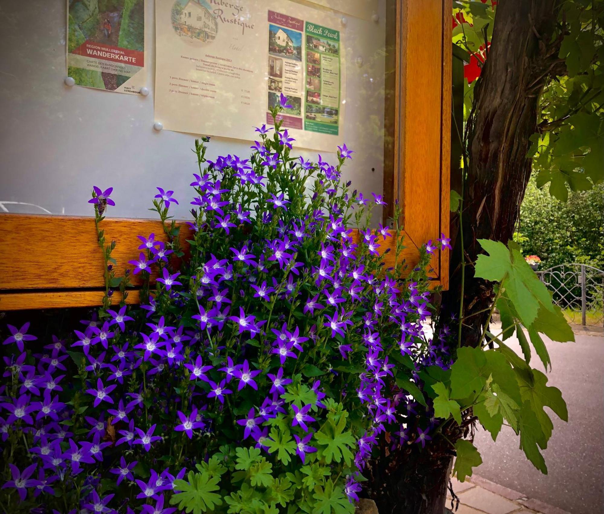 Hotel Auberge Rustique Beaufort Bagian luar foto